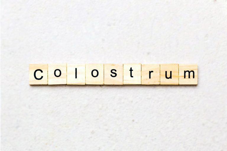 Wooden scrabble tiles display the word "colostrum," representing its importance as a beneficial nutrient-rich food source.