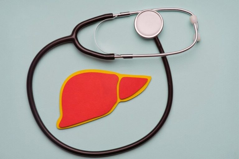A liver and stethoscope on a blue background, representing the importance of liver health in a hectic daily routine.