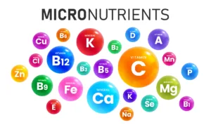 A visual representation of micro nutrients arranged in a circle, emphasizing their essential roles in nutrition.