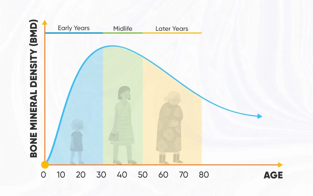 Visual representation of age stages, focusing on bone density changes and tips for maintaining strong bones through lifestyle choices.