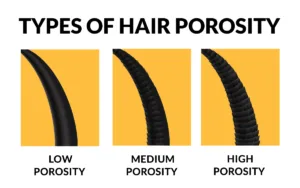 Visual guide on hair porosity types, detailing care tips for low, medium, and high porosity hair to enhance moisture absorption.
