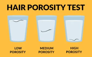 Image of a hair porosity test demonstrating moisture absorption levels for different hair types and care tips for hydration.