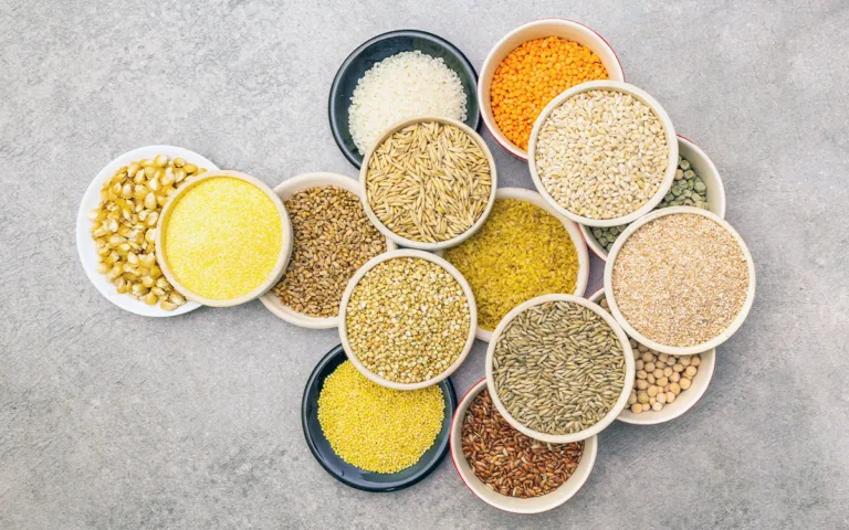 A collection of bowls filled with various grains and seeds, highlighting options for a healthy diet and wellness.