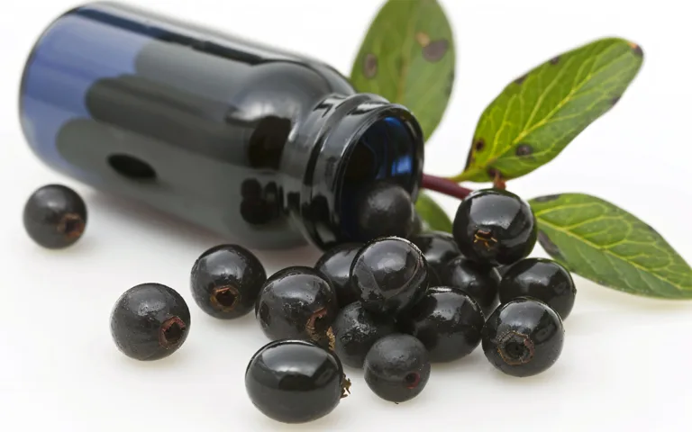 Image highlights elderberry extract benefits, emphasizing its immune support and nutritional value for health and wellness.