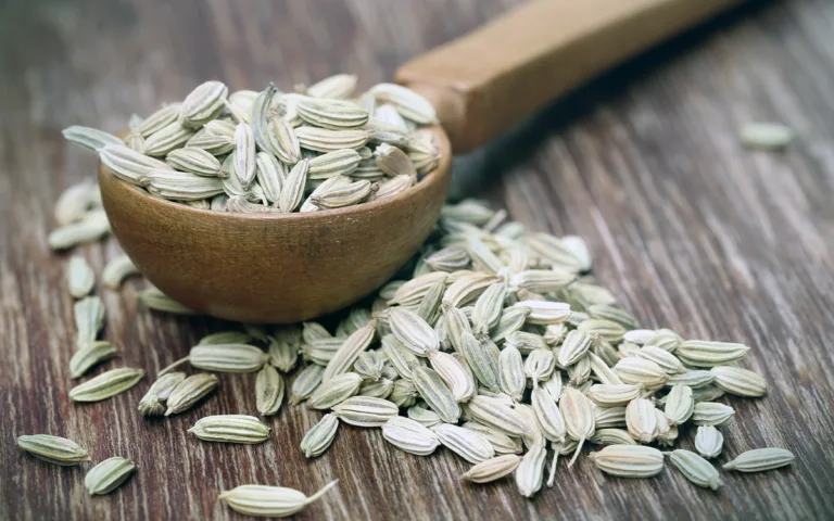 Fennel seeds in a wooden spoon, known for aiding digestion and relieving gas, with a sweet licorice flavor and aroma.