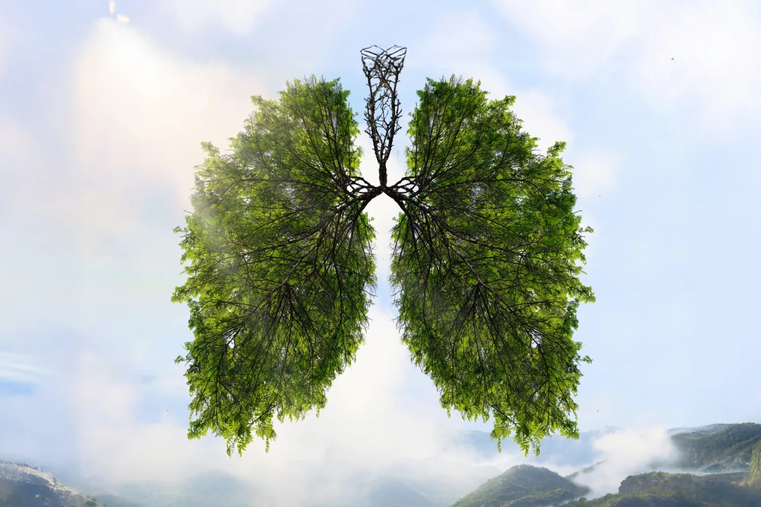 Tree shaped like human lungs symbolizing natural lung cleansing, fresh air, and plant-based support for easy breathing