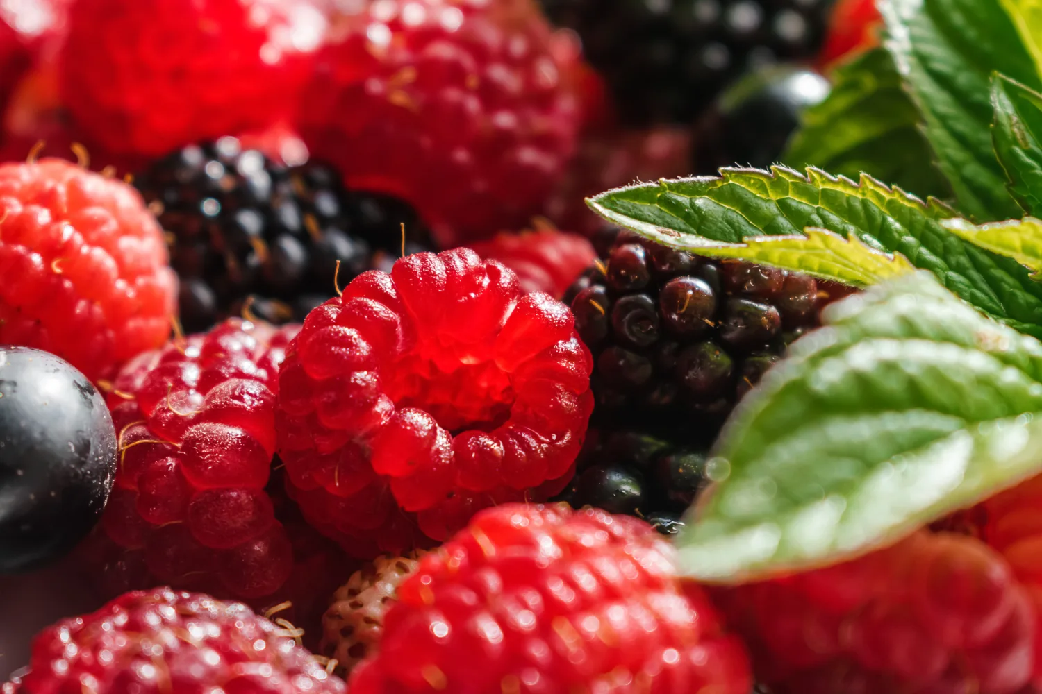 Fresh berries rich in plant flavonoids that help support lung wellness and protect respiratory health naturally