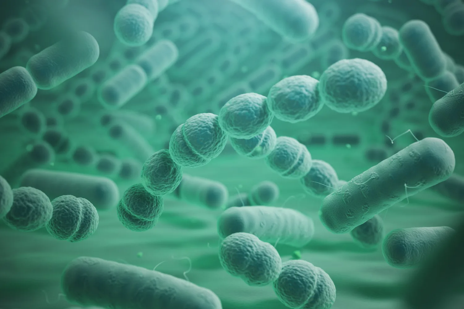 Illustration of beneficial bacteria representing the vaginal microbiome, highlighting probiotics that support healthy vaginal flora and microbial balance.
